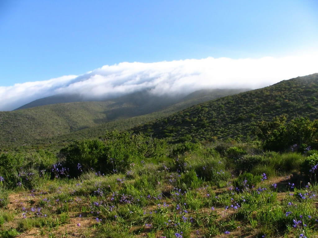 Bosque de Fray National Park Oasis of Biodiversity & Natural